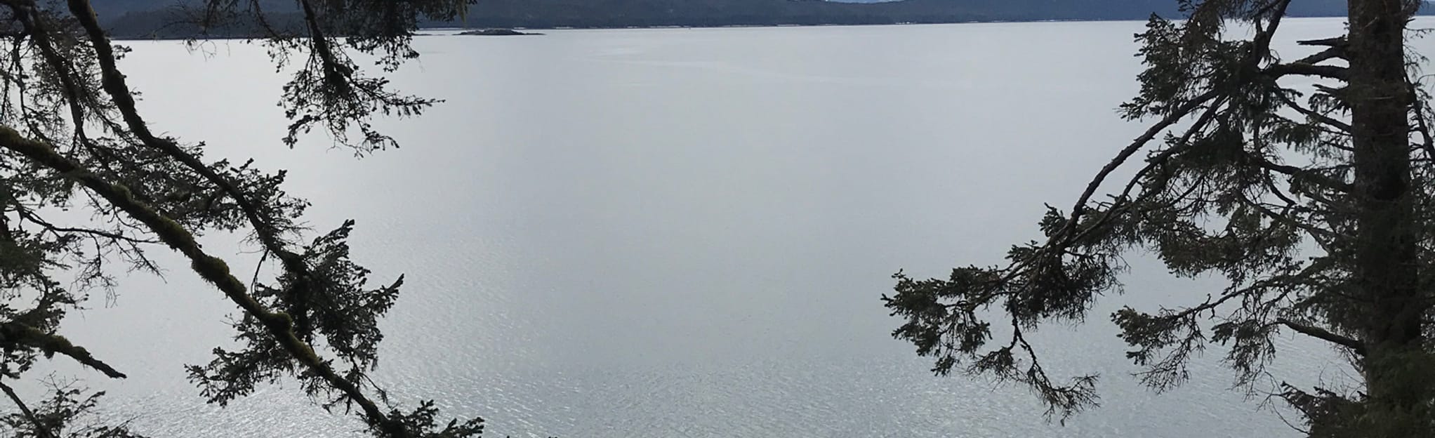 Breadline Bluff Trail, Alaska 13 Reviews, Map AllTrails