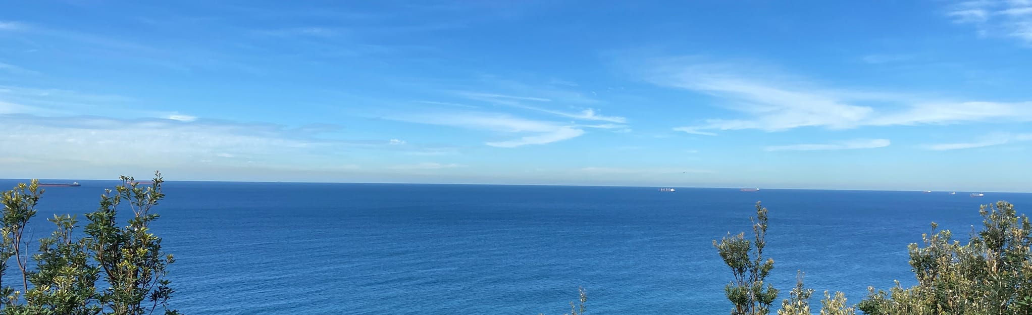 Redhead Bluff Cliff Walk, New South Wales, Australia 13 Reviews, Map AllTrails