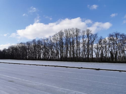 Vom Paesmühlengraben zum Schönstatt Marienbild