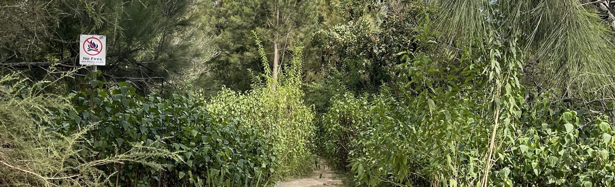 Shark Rock Ridge Track 8 Reviews, Map New South Wales, Australia