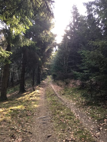 Niederheimbach - Franzosenkopf