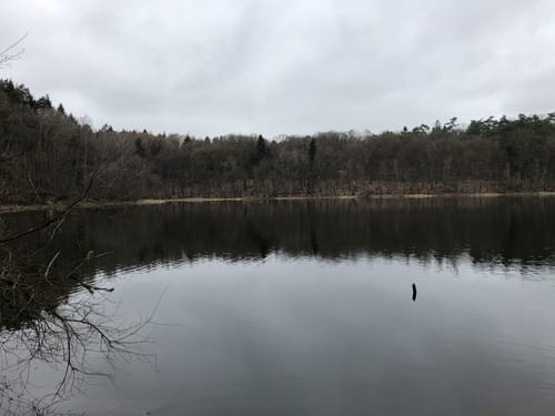 Um den Pinnsee