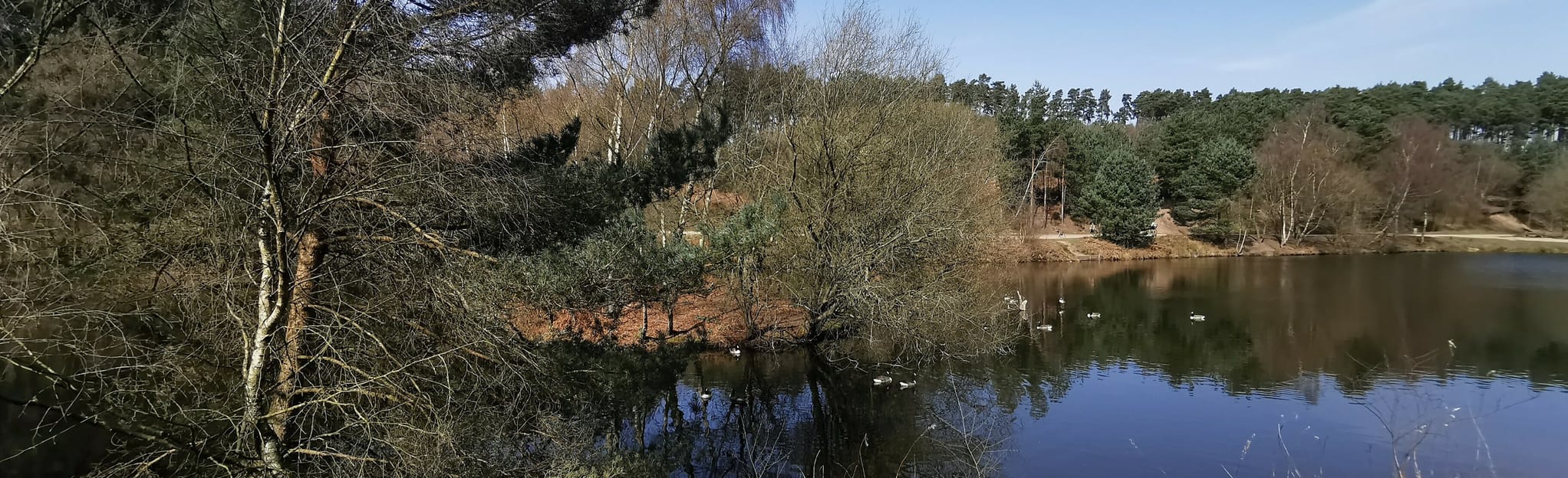 Brereton, Slitting Mill and Trent and Mersey Canal 197 Fotos