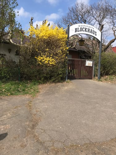 Rund um den Schnepfenkopf