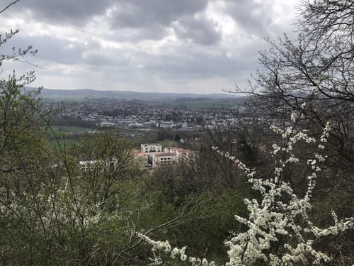 Rund um den Schnepfenkopf