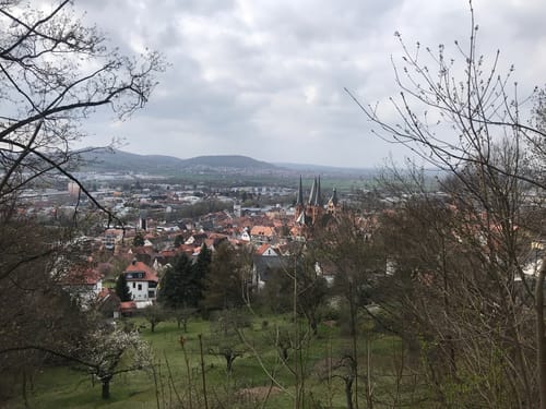 Kuhruh ab Gelnhausen