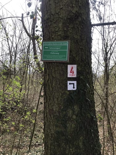 Rund um den Schnepfenkopf
