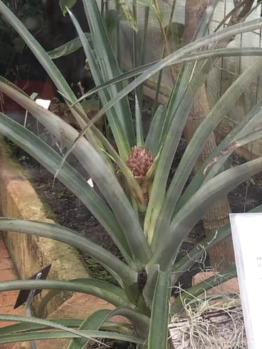 Neuer Botanischer Garten Marburg