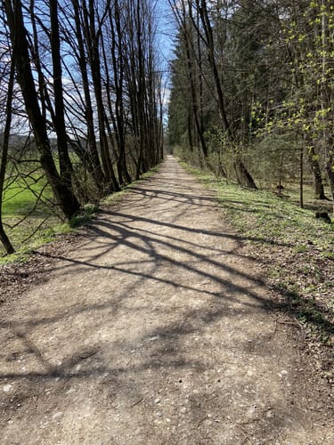 Rundwanderweg Emmeringer Leite