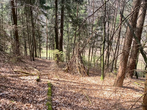 Hahnfels-Tour (Premiumwanderweg)