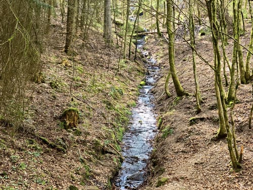Hahnfels-Tour (Premiumwanderweg)