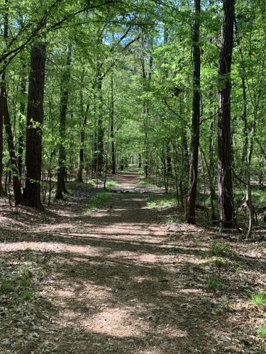 Best Hikes and Trails in North Charleston Wannamaker County Park ...