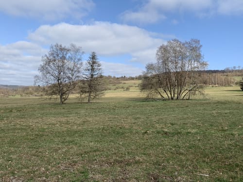 Um den Buchberg ab Helsa