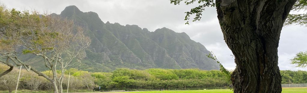 are dogs allowed at kualoa beach park