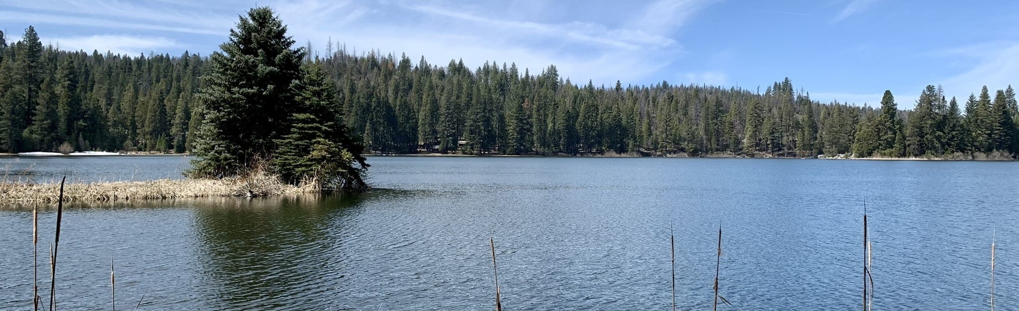 Sequoia Lake 115 Reviews, Map California AllTrails