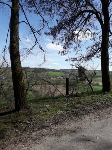 Alsdorf (Naturpark Südeifel Wanderweg Nr. 66)