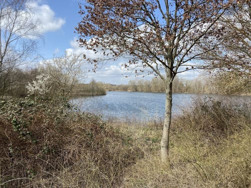 Spandauer Forst: Wildgehege - Laßzinssee - Teufelsbruch