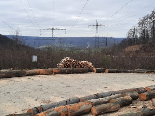Brackenburg ab Wiershausen