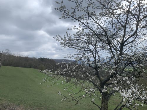 Von Bad Bodendorf nach Ahrweiler