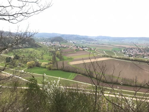 Obersulmer Rundwanderweg 1