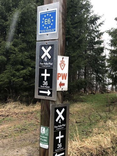 Seulingswald