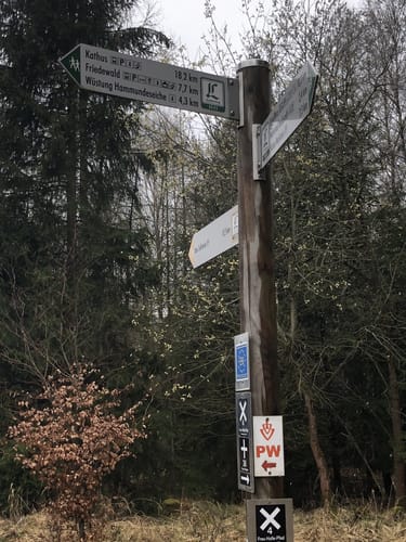 Seulingswald