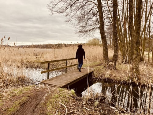 Von Hohennauen entlang dem südlichen Ufer des Hohennauener Sees