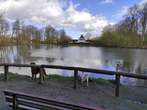Auf gräflichen Spuren in der Löchterheide