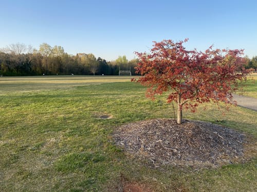 Photos Of Mint Hill Veterans Memorial Park Loop North Carolina Alltrails