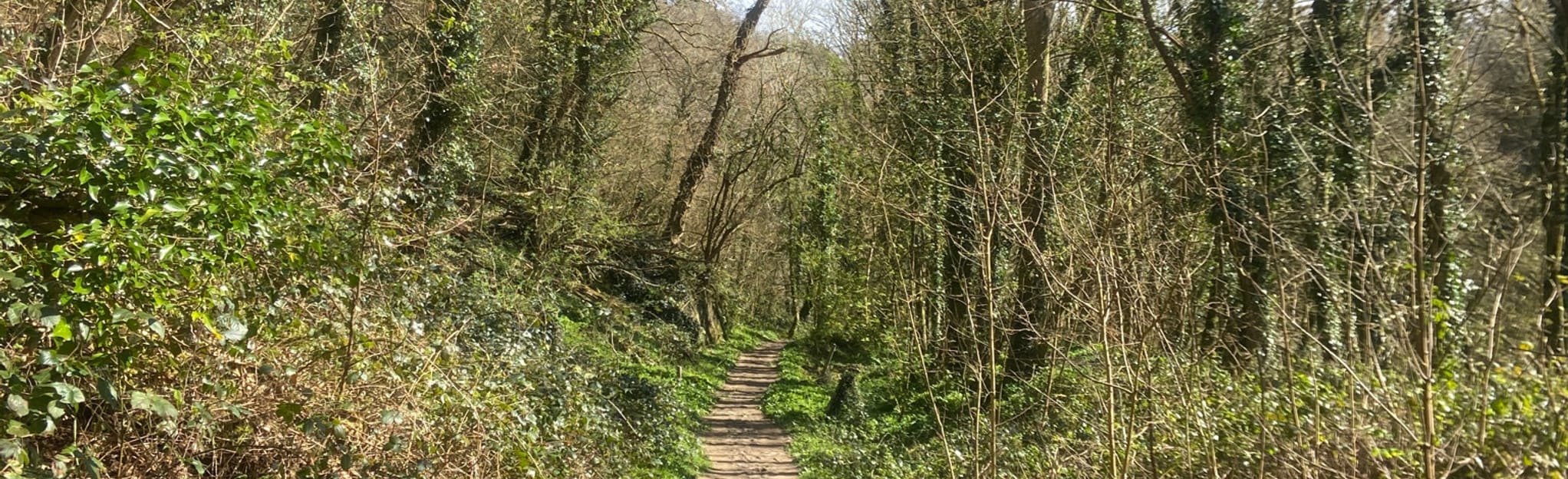 Woodleigh Wood, Devon, England 7 Reviews, Map AllTrails