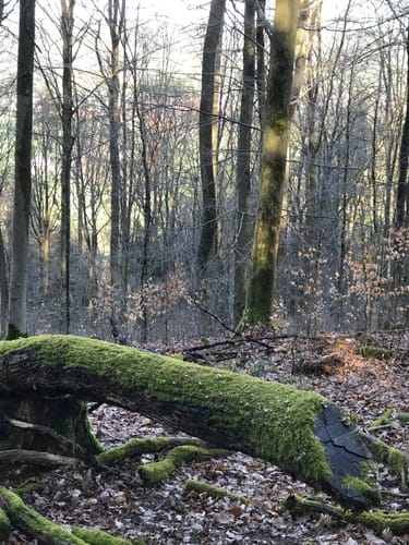 Rund um Trätzhof