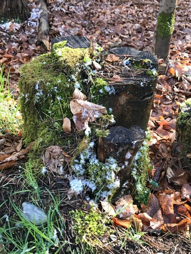 Rund um Trätzhof