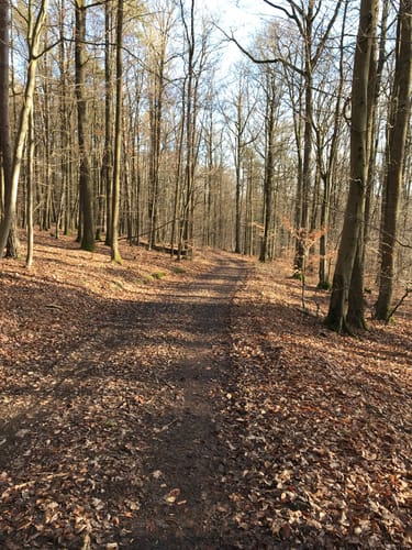 Rund um Trätzhof