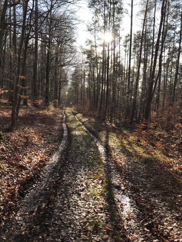 Rund um Trätzhof