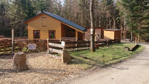 Krenkeltal und Goldener Zapfen
