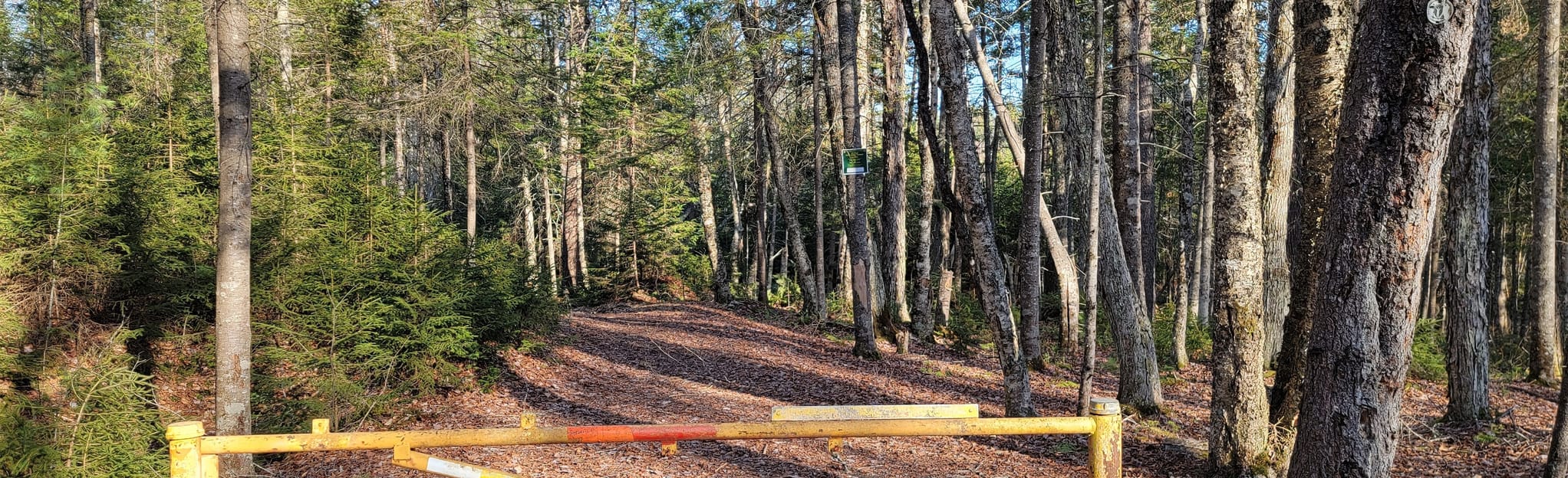 Pinebrook Lean-to Trail, New York - 5 Reviews, Map | AllTrails