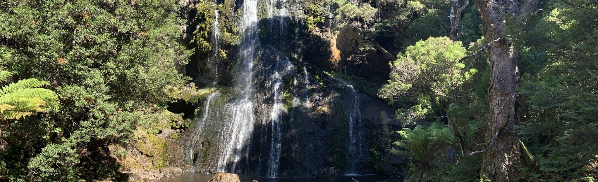 Champagne Falls and Bridal Veil Falls 182 fotos Tasmânia, Austrália