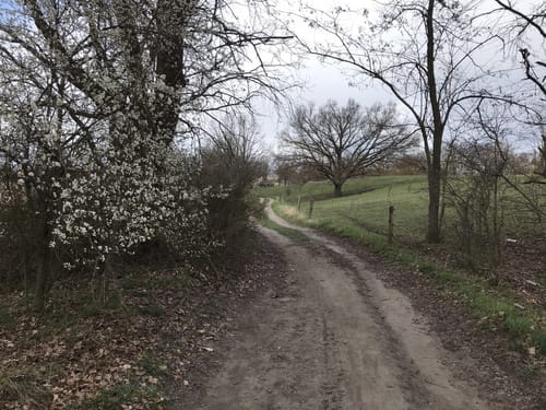 Eichberg Rundweg
