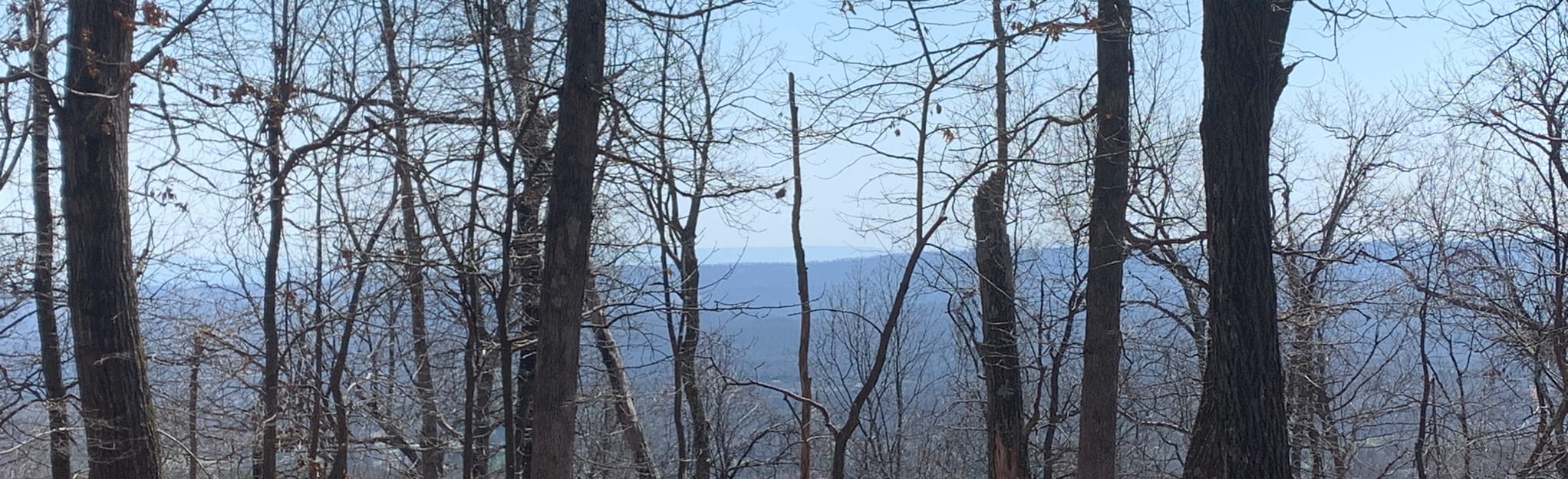 Toboggan Hill and Dug Road Circuit Map, Guide West Virginia AllTrails