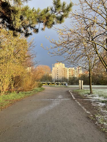 Volkspark Prenzlauer Berg Großer Weg