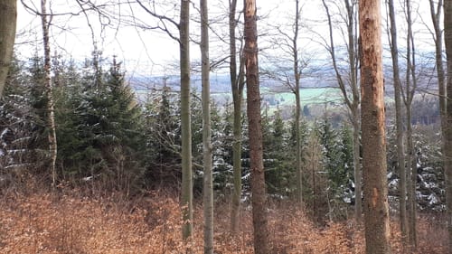 Sornßiger Berg und Hochstein