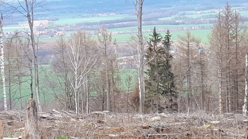 Sornßiger Berg und Hochstein