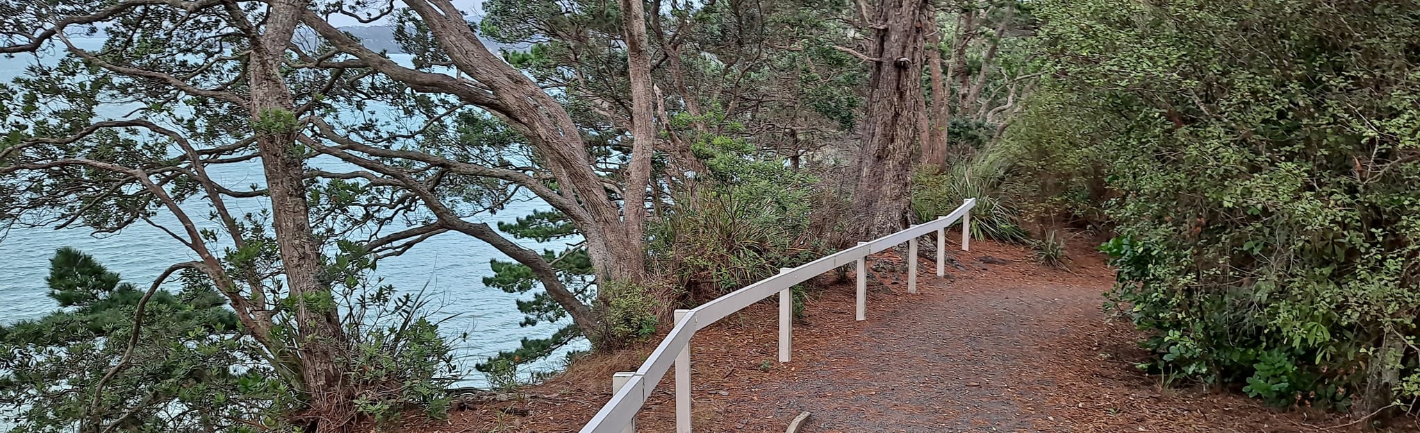 Manukau Coastal Walk Green Bay to Flounder Bay 53 Fotos Auckland