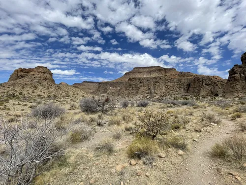 Mojave national 2025 preserve hiking