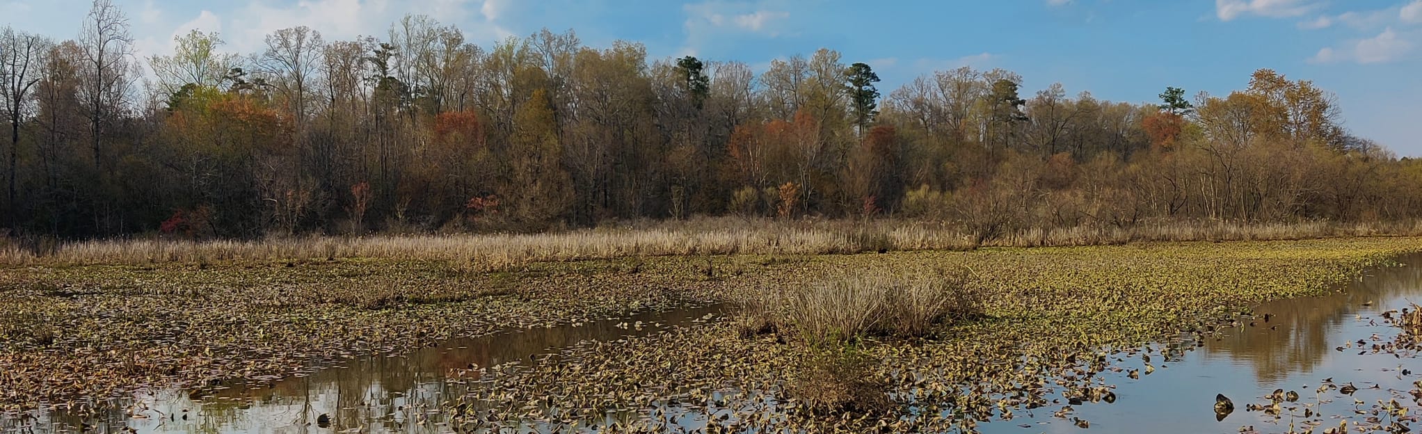 AllTrails Tuckahoe Creek Trail 66 Reviews, Map Virginia