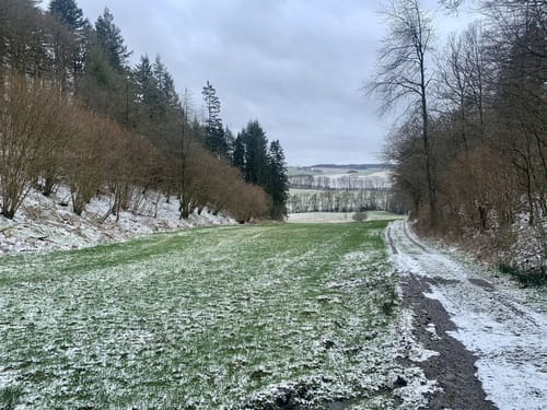 HeimatSpur Ulmener Acht