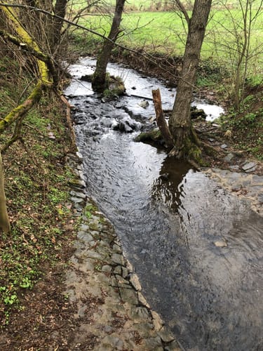 Planetenweg und Burgruine Löwenstein