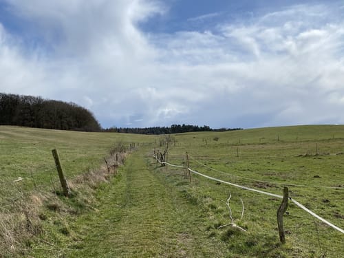 Schmollensee Usedom