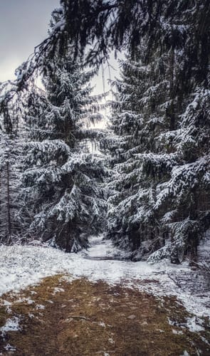 Sagenpfad am Kottmarberg