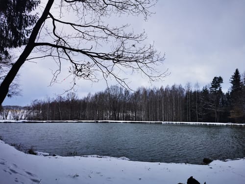 Auf Alter Bahnstrecke im Beuthaer Wald